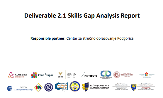Skills Gap Analysis Report 